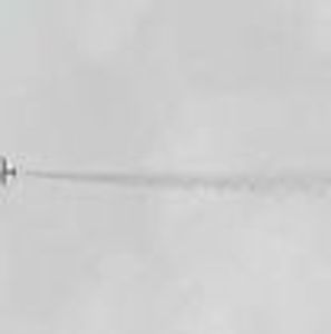 Meet your Posher, Ana